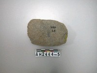 藏品(中型打製石斧)的圖片